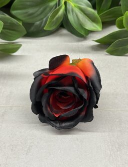 Róża Pąk MGHT #160 BRICK EDGE BLACK