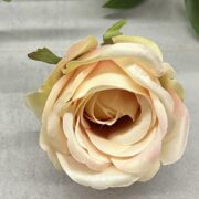 IMG_5965