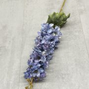 IMG_6023