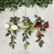 IMG_6087