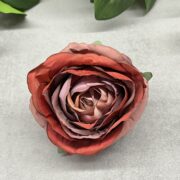 IMG_6398