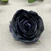 IMG_6405