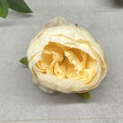 IMG_6432