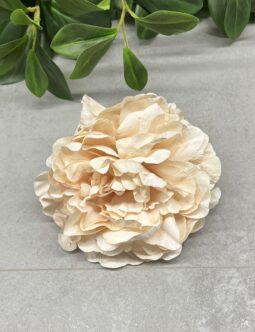 Peonia wyrobowa B135