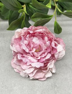 Peonia wyrobowa B135