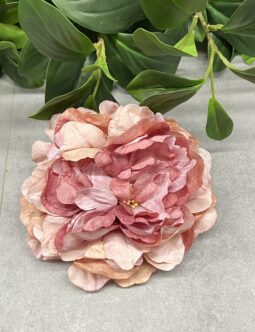Peonia wyrobowa B135