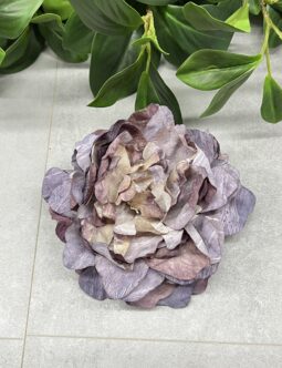 Peonia wyrobowa B135