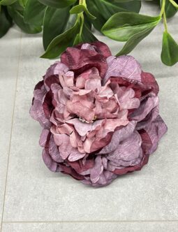 Peonia wyrobowa B135