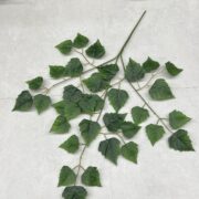 IMG_0019