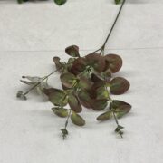 IMG_0026