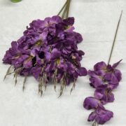 IMG_0053