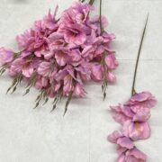 IMG_0082