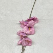 IMG_0083
