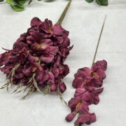 IMG_0084
