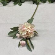 IMG_0213
