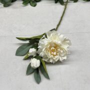 IMG_0215