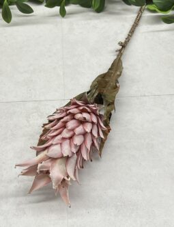 Ananas Gałązka DRY8003