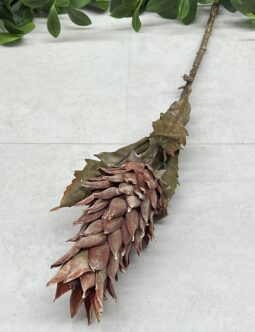 Ananas Gałązka DRY8003