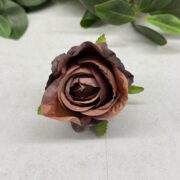 IMG_0250