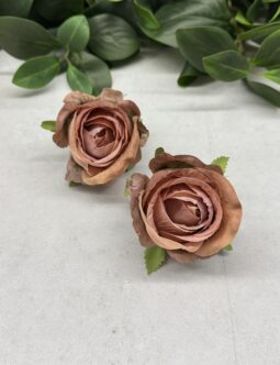 Róża 3 D CV41661