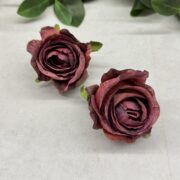 IMG_0257