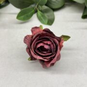 IMG_0258
