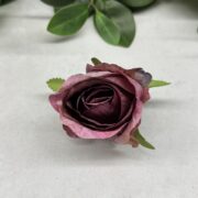 IMG_0262