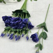 IMG_0312