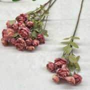 IMG_0438