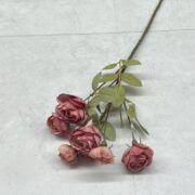 IMG_0439