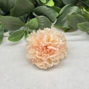 IMG_0445