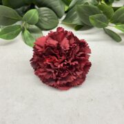 IMG_0453