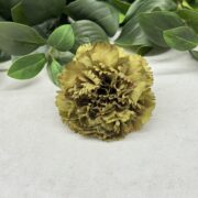 IMG_0455