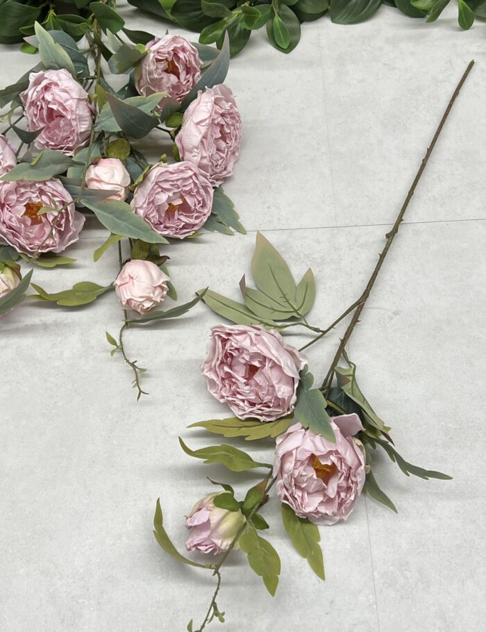 IMG_0458