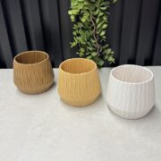 IMG_0501