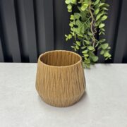 IMG_0505