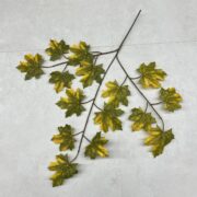 IMG_0603