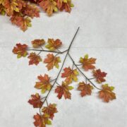 IMG_0604