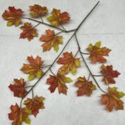 IMG_0605