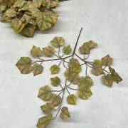 IMG_0608