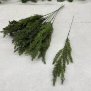IMG_0632