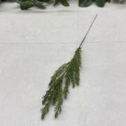 IMG_0633