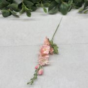 IMG_0661