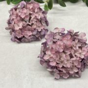 IMG_0661