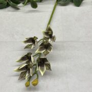 IMG_0756