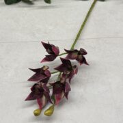 IMG_0758
