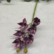 IMG_0759