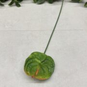 IMG_0800