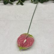 IMG_0803