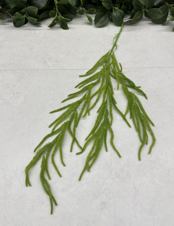 IMG_0805